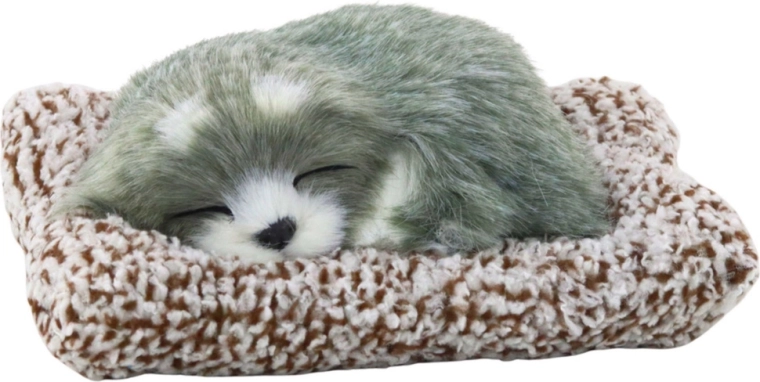 Realistyczny sen na miękkim legowisku