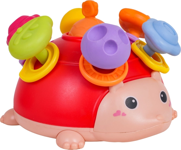 Grzechoczące kółka i zabawne przekładanie