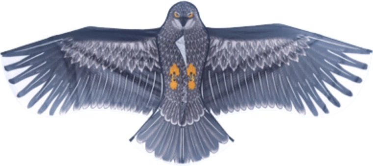 Realistyczny wygląd orła