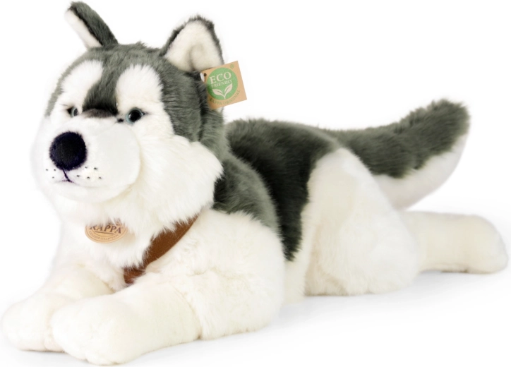 Pluszowy pies husky z obrożą 60 cm