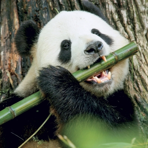 Przejrzyste informacje w jednym miejscu