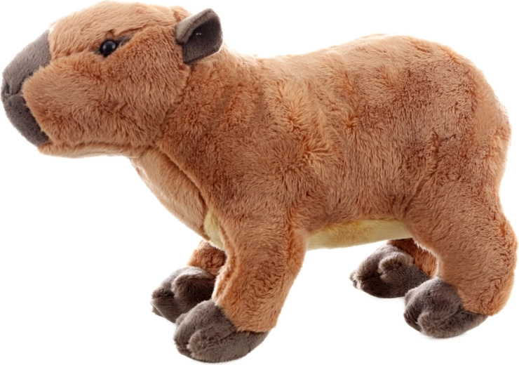 Bezpieczna już od urodzenia