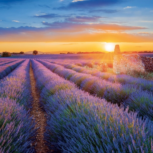 Dużo miejsca na notatki każdego dnia