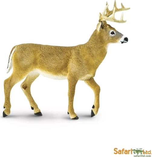 Jelonek wirginijski Safari Ltd.