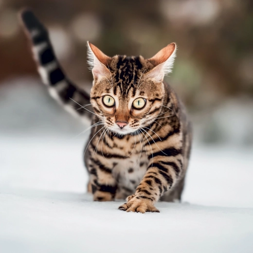 Dużo miejsca na Twoje plany