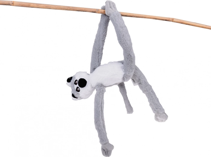 Lemur, który „wspina się” i wisi jak w naturze