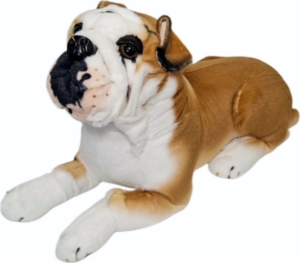 Pluszowy pies buldog - 1 szt.