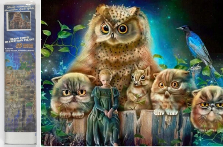 Malowanie diamentowe Strażnicy leśni 30x40 cm