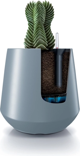 Beztroska pielęgnacja roślin