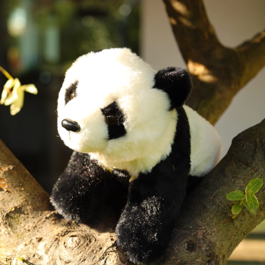 Urocza panda do przytulania