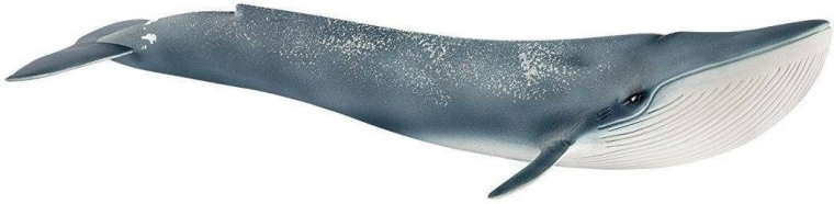 Schleich 14806 Płetwal błękitny