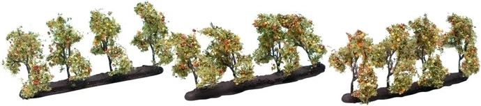 Jeszcze jabłoń z owocami 3,5 cm (12 szt.)
