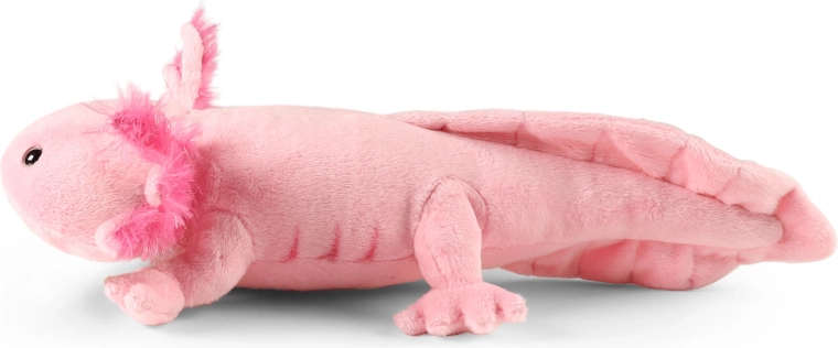 Rozmiar 34 cm dla małych i dużych miłośników przytulania