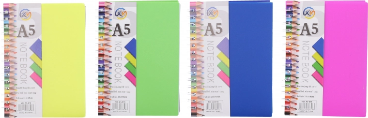 Spiralny zeszyt w linie A5, 100 stron