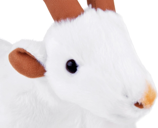 Realistyczne detale, które przyciągają uwagę