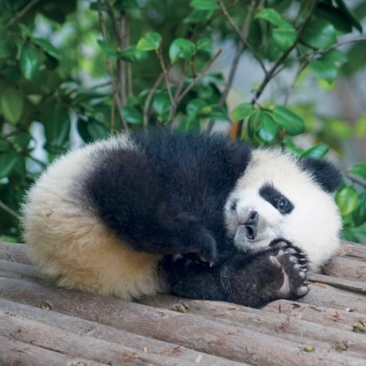 Miejsce na notatki każdego dnia