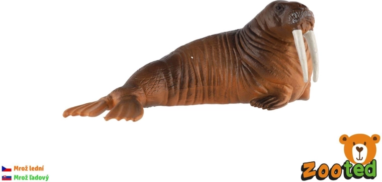 Plastikowa figurka morsa arktycznego 11 cm