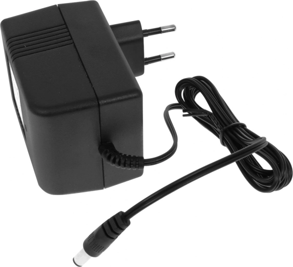 Ładowarka 12 V / 1000 mA do elektrycznych pojazdów i zabawek akumulatorowych