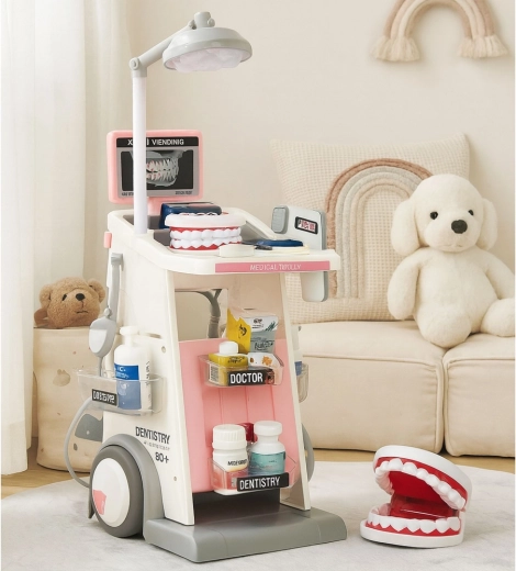 Model szczęki i bogate akcesoria