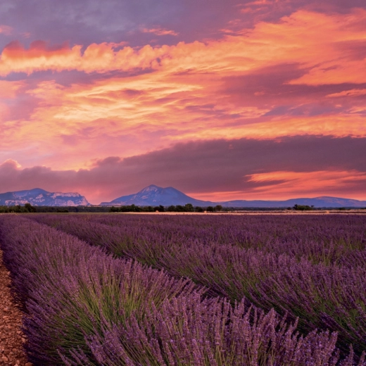 Sześciojęzyczne kalendarium 09/2026–12/2027