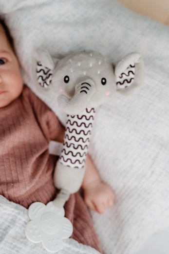 Gryzak dla ulgi dziąsłom