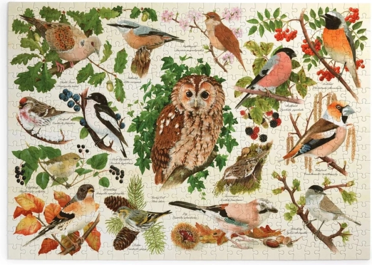 Puzzle Ptaki lasu, 500 dużych elementów
