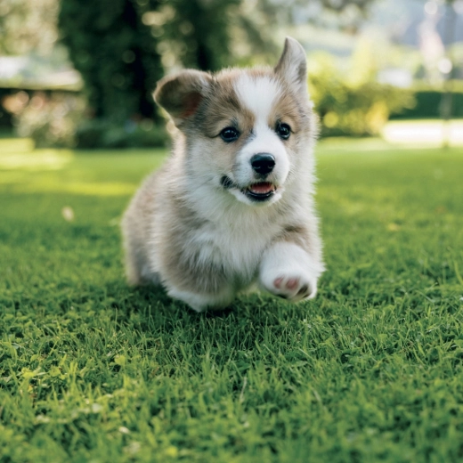 Urocze fotografie maluchów przez cały rok