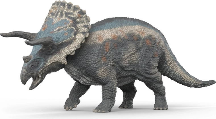 Świetne detale do nauki i ekspozycji