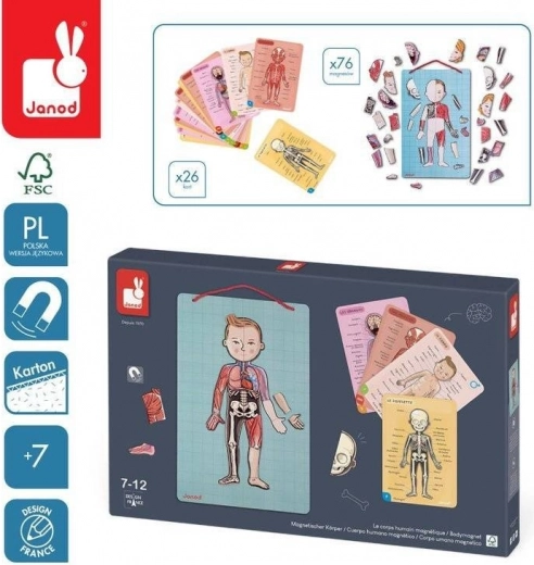 Janod magnetyczna układanka ludzkie ciało