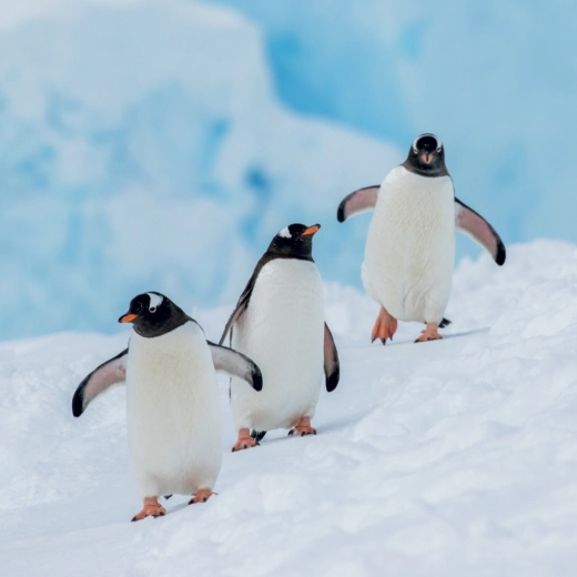 Planowanie od września 2026 do grudnia 2027