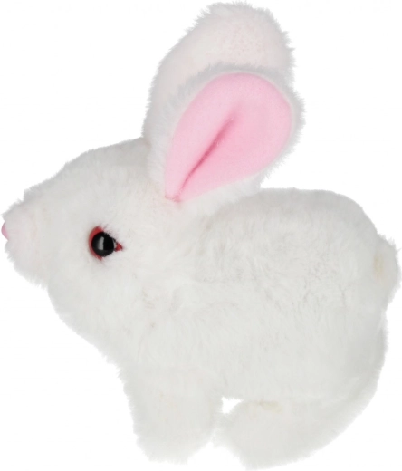 Wybór trzech kolorów