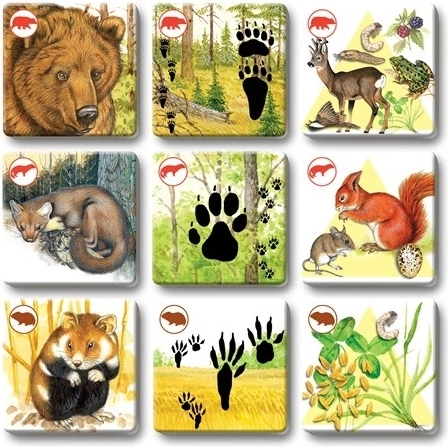 Piękne ilustracje, które przyciągają uwagę