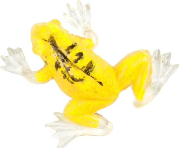 Różne kolory dla większej zabawy