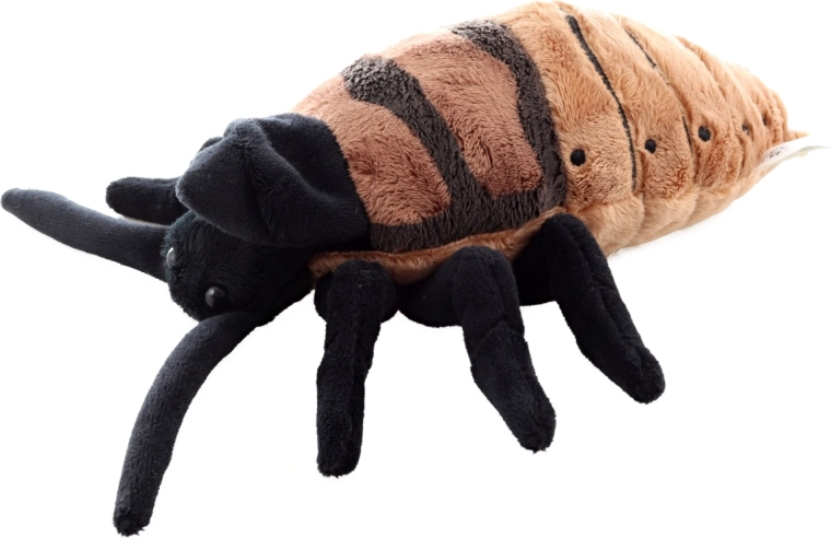 Idealny rozmiar 20 cm