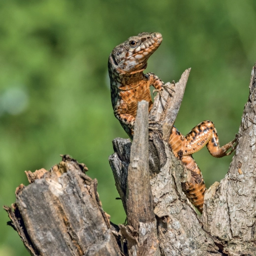 Miejsce na codzienne notatki