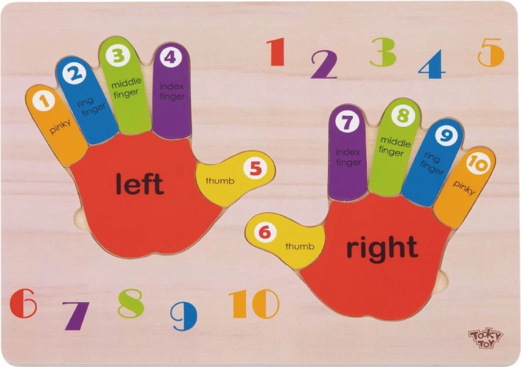 Drewniana edukacyjna układanka ręce – nauka liczb, kolorów i prawa/lewa od TOOKY TOY