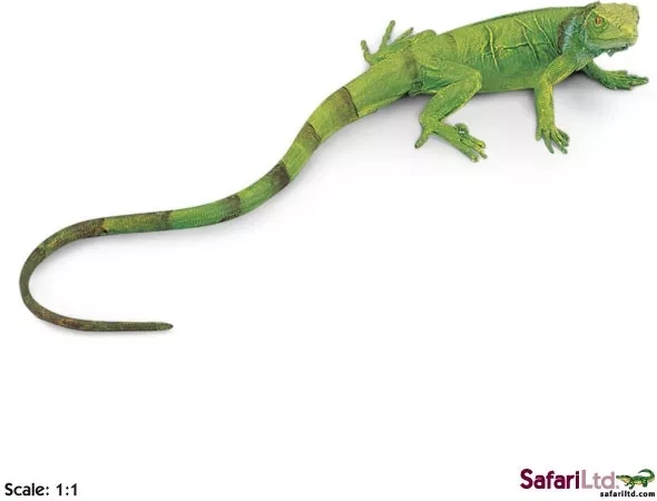 Safari Ltd. młode legwana zielonego - 1 sztuka