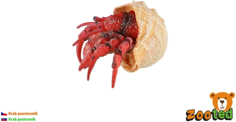 Plastikowy krab pustelnik 7 cm