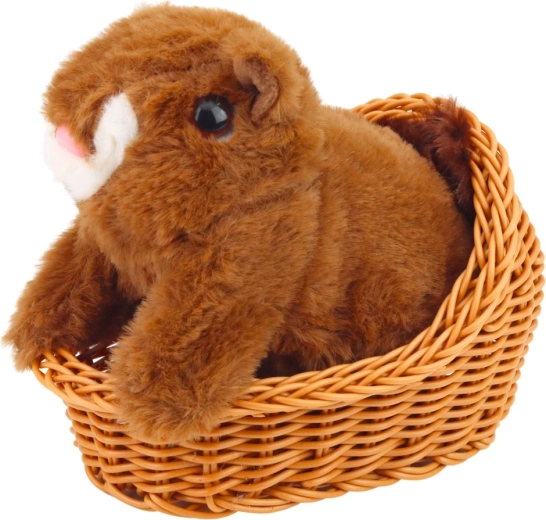 Miękki, bezpieczny i trwały plusz