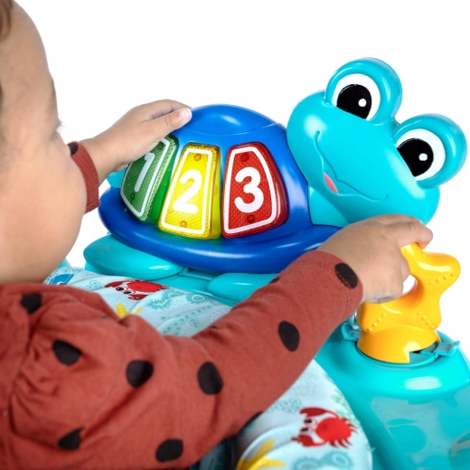 Odłączana żółwica Neptune w podróży