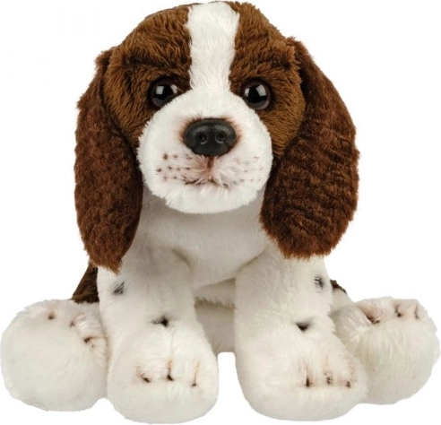 Pluszowy pies spaniel
