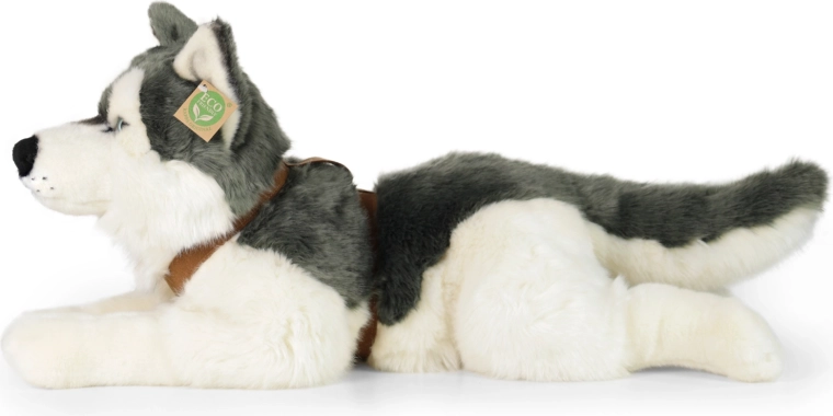 Realistyczny wygląd husky