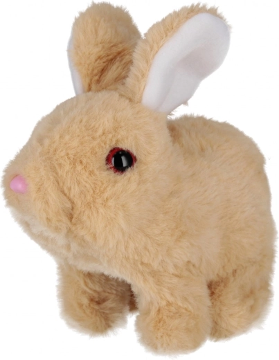 Urocze ruchy i dźwięki