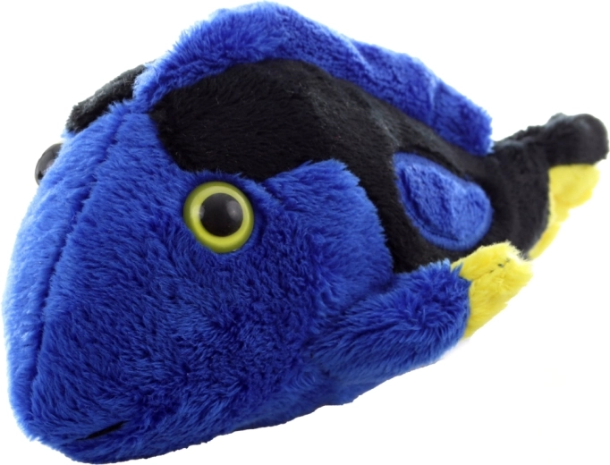 Żywe kolory, które przyciągają uwagę