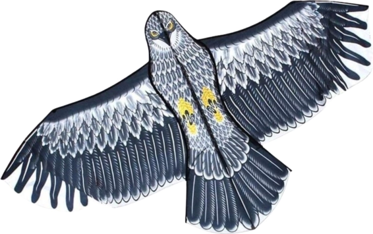 Stabilny lot także dla początkujących