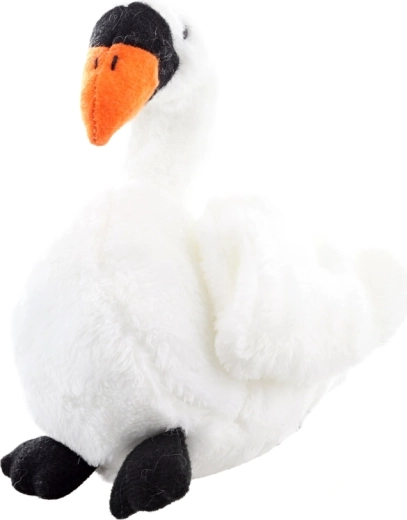 Materiały eco-friendly