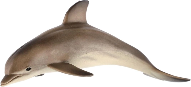 Dla małych odkrywców oceanów