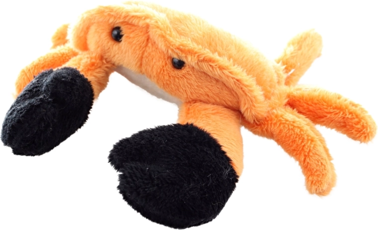 Uroczy design z wyrazistymi szczypcami