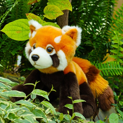 Realistyczne detale rudy panda