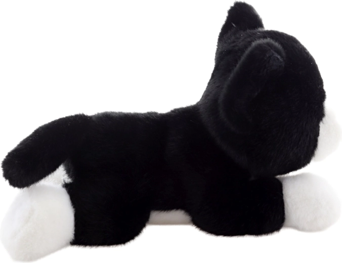 Lekka i idealna w podróży